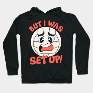 Cute & Funny But I Was Set Up Volleyball Ball Pun Hoodie